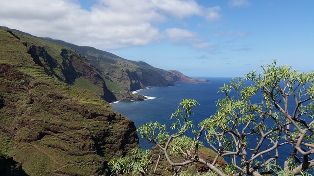 kust la palma